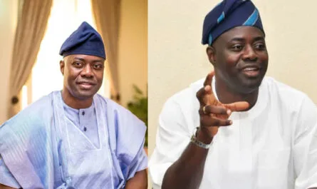 Oluwaseyi Abiodun Makinde Biography